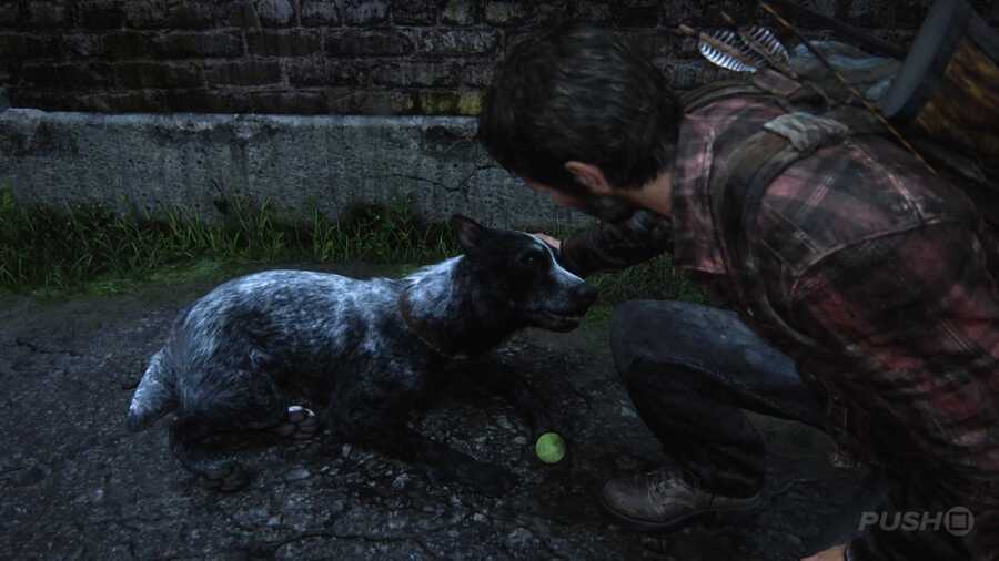 The Last of Us 1 Trophy Guide: All Trophies and How to Get the Platinum