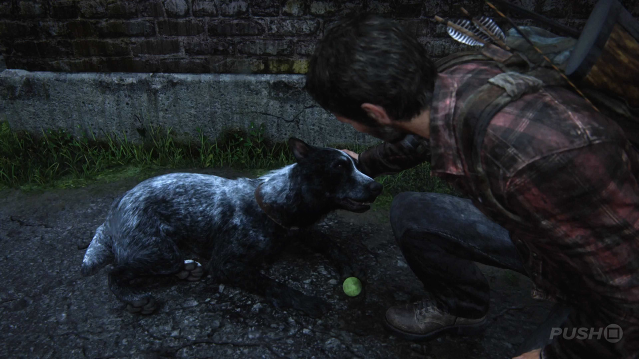 Naughty Dog – The Last of Us Trophy Guide