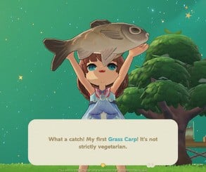 Preview: Genshin Impact Dev Takes on Animal Crossing with New Game 9