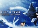 Rule the Sky in Free PS3 Flight Sim Ace Combat Infinity
