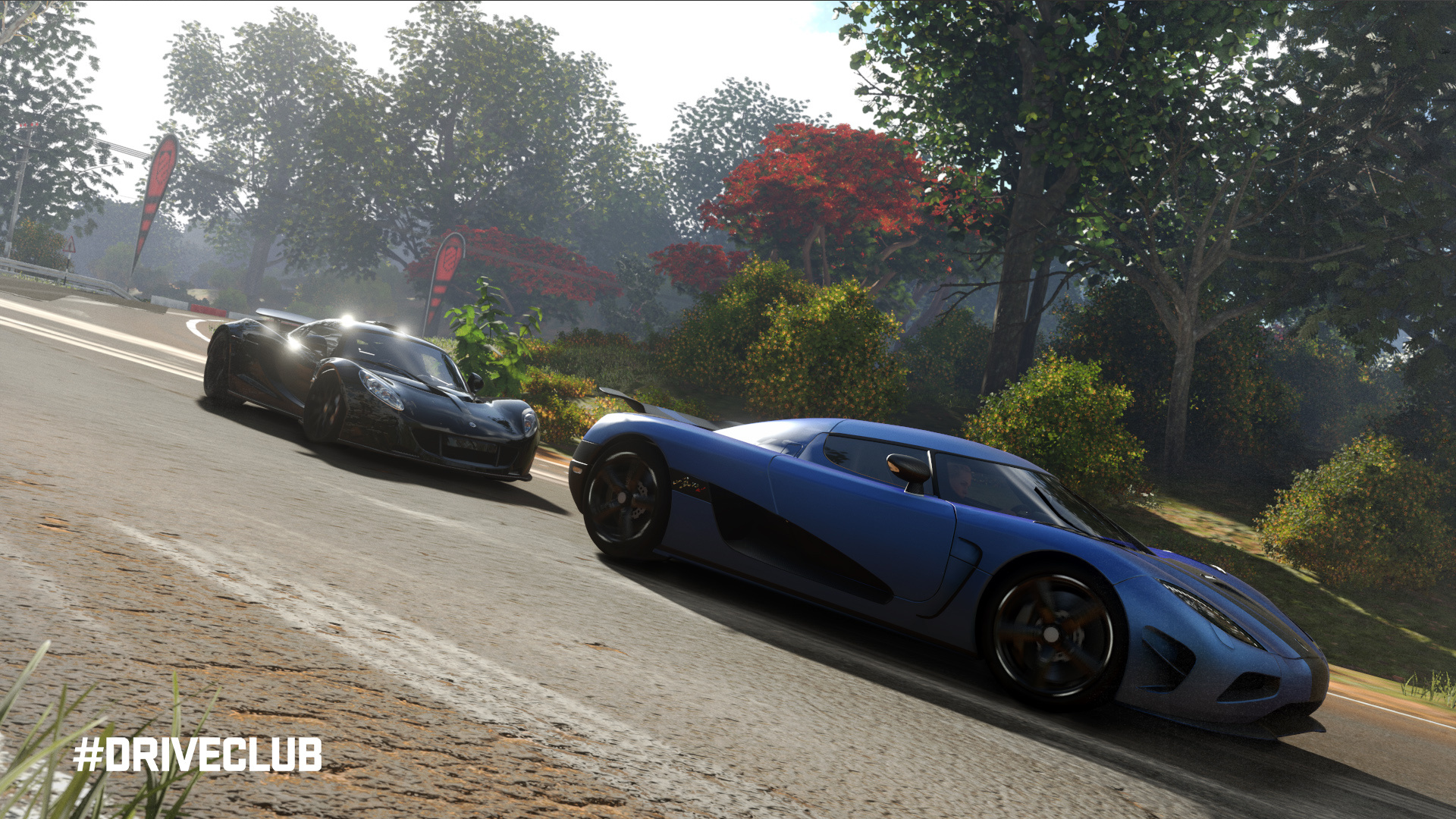 Driveclub ps4 на сколько игроков