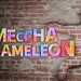 Can You Play Meccha Chameleon on PS5?