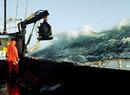 Fishing Captain Reels in Deadliest Catch: Sea of Chaos Details