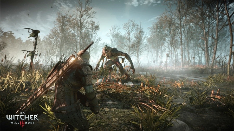 The Witcher 3 Wild Hunt PS4 PlayStation 4 3