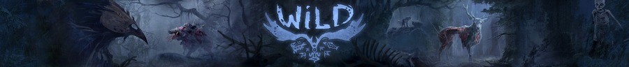 WiLD PS4 PlayStation 4 2