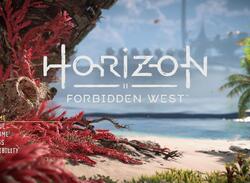 Horizon Forbidden West: Does It Have New Game +?