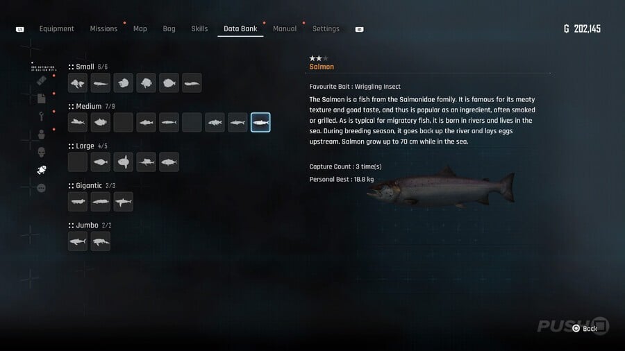 Stellar Blade: All Fish Locations and How to Catch Them 14