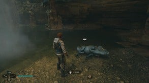 All Enemy Scan Locations > Flora and Fauna > Gorger - 1 of 3