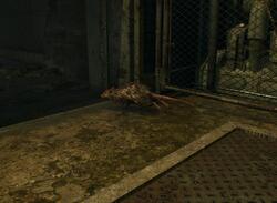 Resident Evil 4 Remake: How to Complete Even More Pest Control