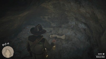 Red Dead Redemption 2 Dinosaur Bones Locations Guide 39