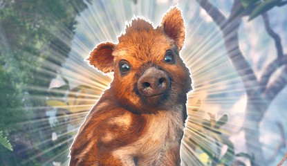 The Team Behind Doomed PS4 Exclusive WiLD Is About to Release a New PS5 Game