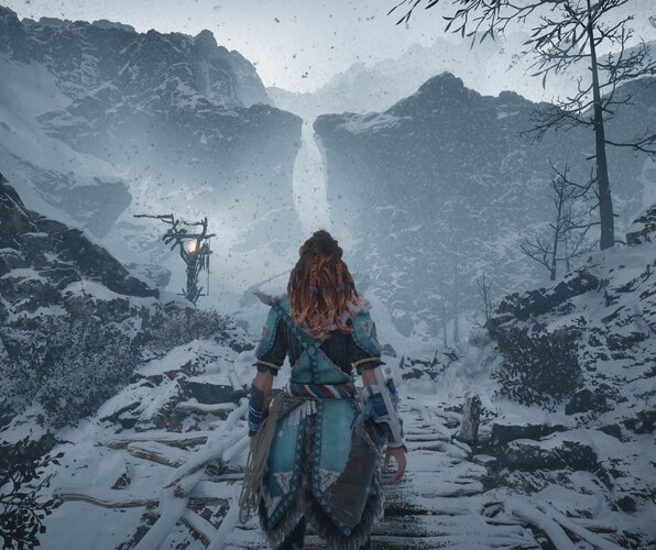 Horizon Zero Dawn PS4 PlayStation 4