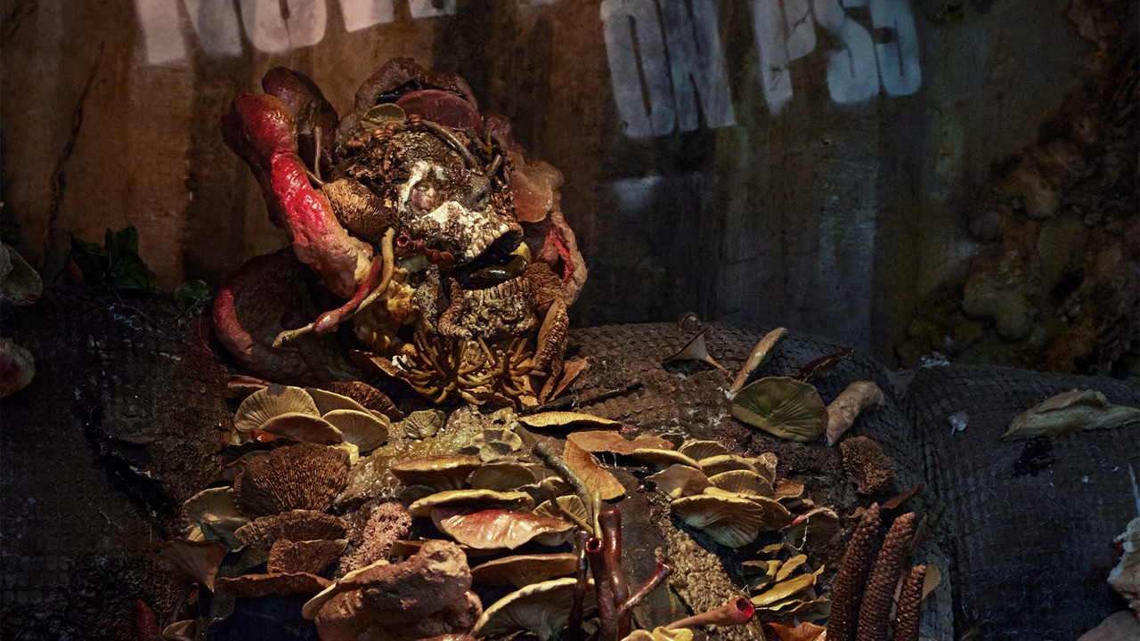 The Last of Us uderza w Londyn z przerażającą wystawą Cordycepsu