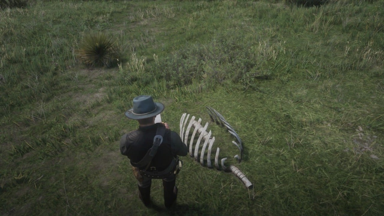 where can i find dinosaur bone 4 in red dead redemption 2