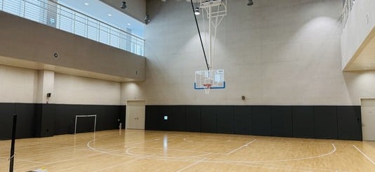 The basketball court in Pearl Abyss' office complex