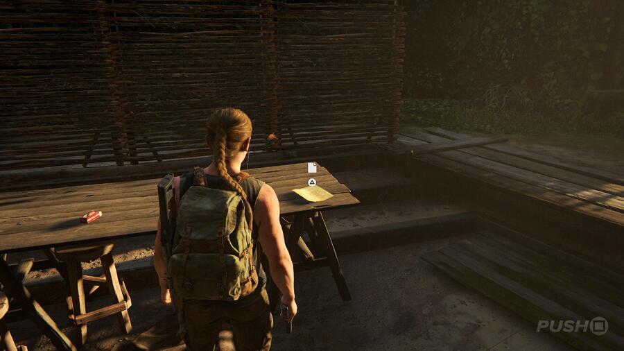 The Last of Us 2: Hostile Territory Collectibles Guide 37