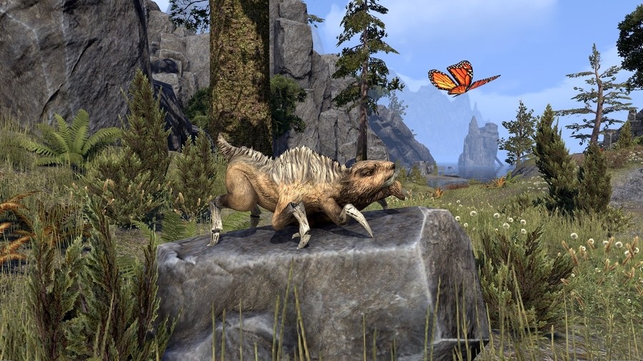 eso pet 1.jpg