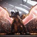 Poll: What Review Score Would You Give DOOM: The Dark Ages?