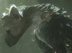 The Last Guardian Features A Fake Language, Contrary Animal