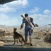 Poll: Is Fallout 4 Underrated, 10 Years Later?