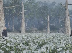 Metal Gear Solid Delta: Rokovoj Bereg Walkthrough - Kerotans, GA-KOs, Food, Uniforms