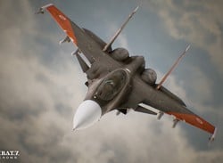 Ace Combat 7 Collector's Edition Includes a Ludicrously Large Figurine