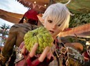 PS5, PS4 Expansion Dawntrail Takes Final Fantasy 14 on Vacation Next Year