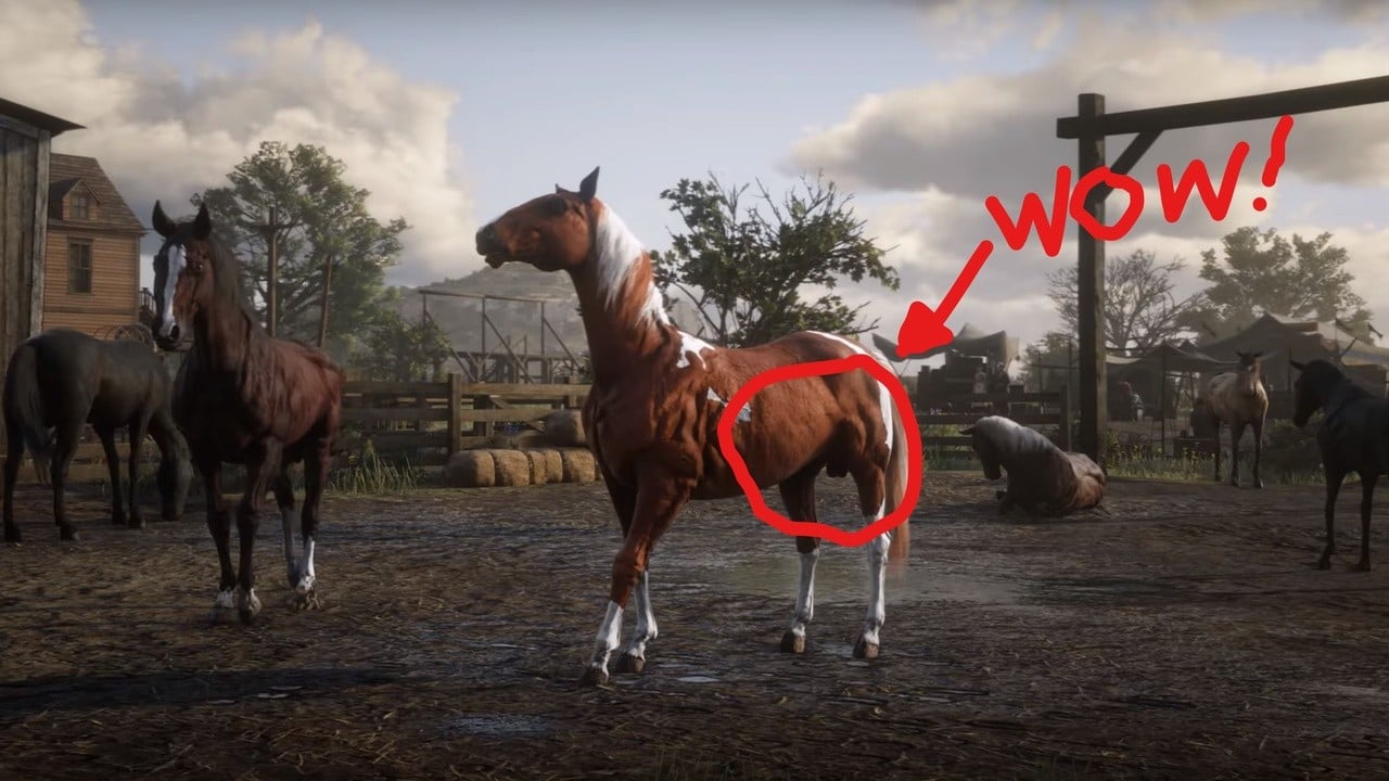 Rendition tjene tro på Red Dead Redemption 2 Goes Balls In on Realistic Horse Models | Push Square
