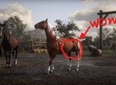 Red Dead Redemption 2 Goes Balls In on Realistic Horse Models