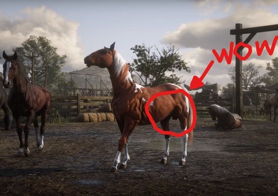 Red Dead Redemption 2 Goes Balls In on Realistic Horse Models