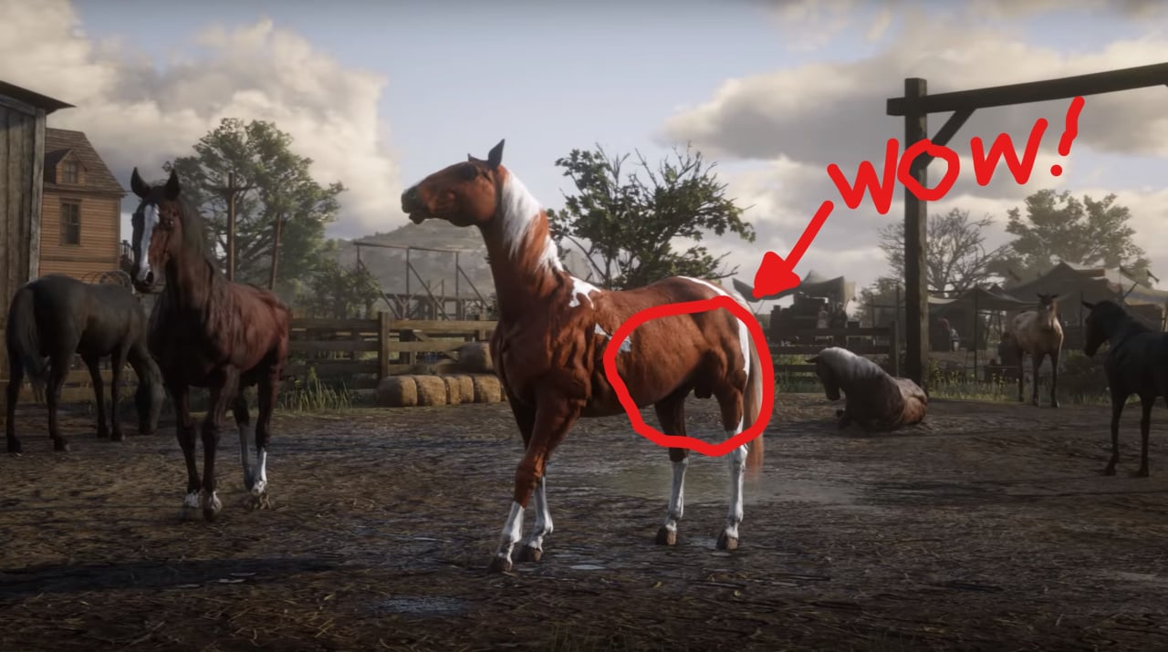 Red Dead Redemption 2 Goes Balls In on Realistic Horse |