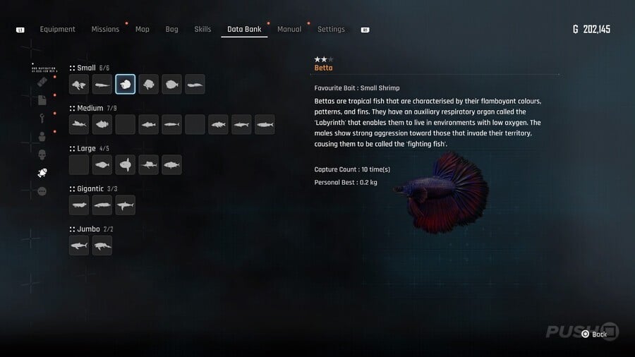 Stellar Blade: All Fish and Where to Catch Them 4