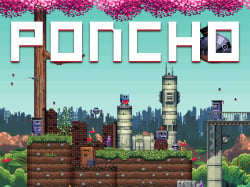 Poncho Cover