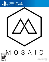 Mosaic Cover