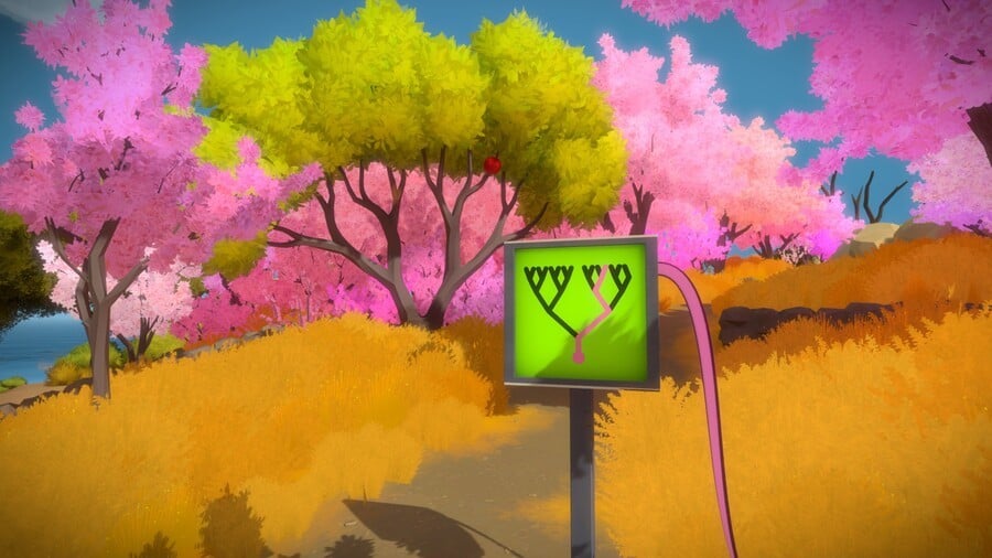 The Witness PS4 PlayStation 4 1