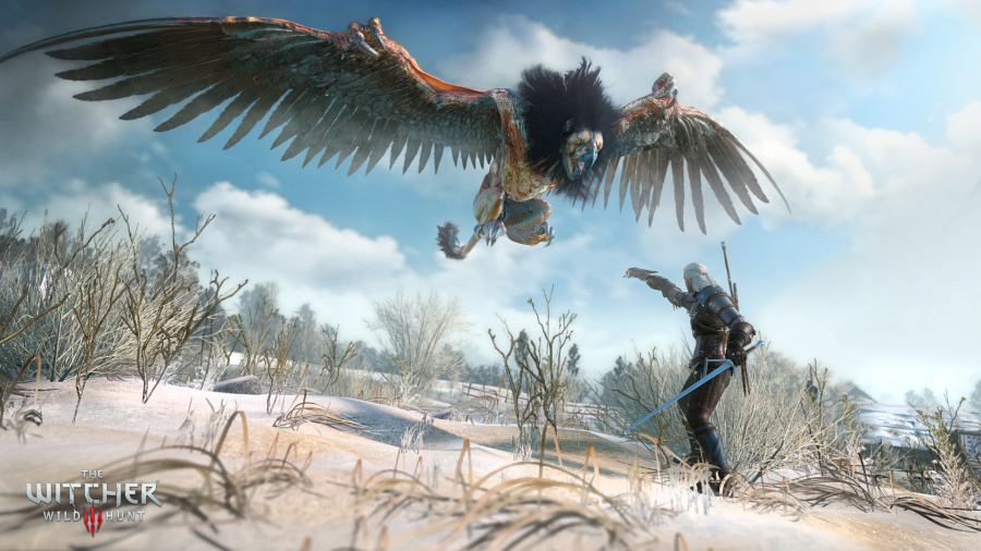 The Witcher III Wild Hunt Character Build Hints Walkthrough