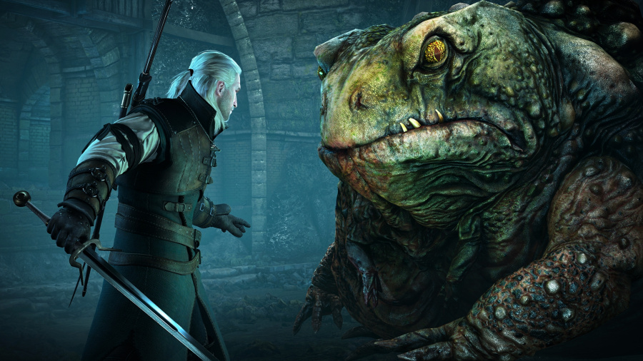witcher expansion 1.jpg