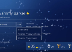 Spruce Up Your PS4 Profile with Cover Images