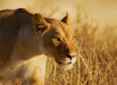 Virry VR Takes You on Safari with PlayStation VR