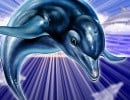 Ecco the Dolphin Returns in Retro Collection Featuring a Brand New Game, But Will It Be on PS5?