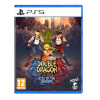 Double Dragon Gaiden: Rise of the Dragons Review – WGB, Home of