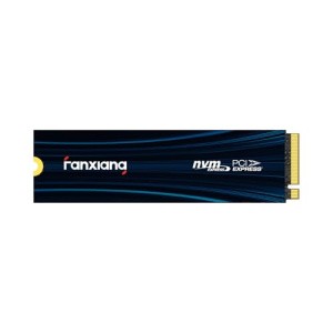 fanxiang 2TB NVMe SSD PCIe Gen 4 Gaming SSD for PS5