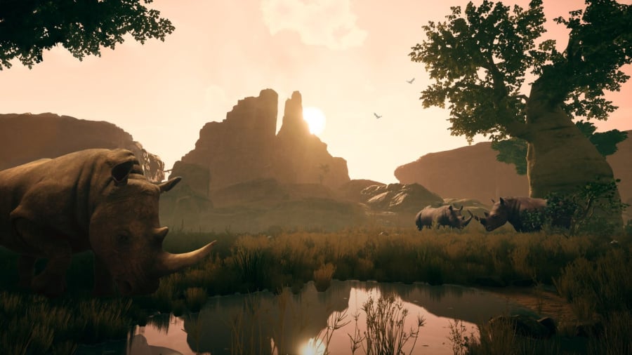 Ancestors: The Humankind Odyssey Review - Screenshot 3 of 4