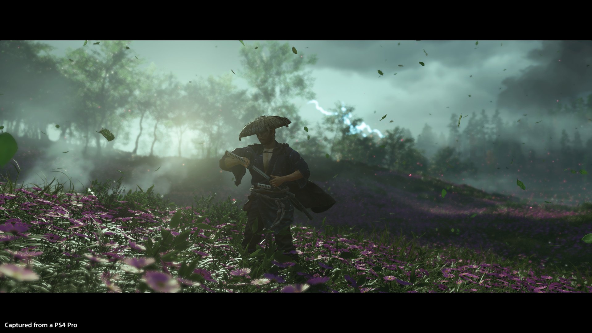 Ghost of Thushima screenshots : ghostoftsushima