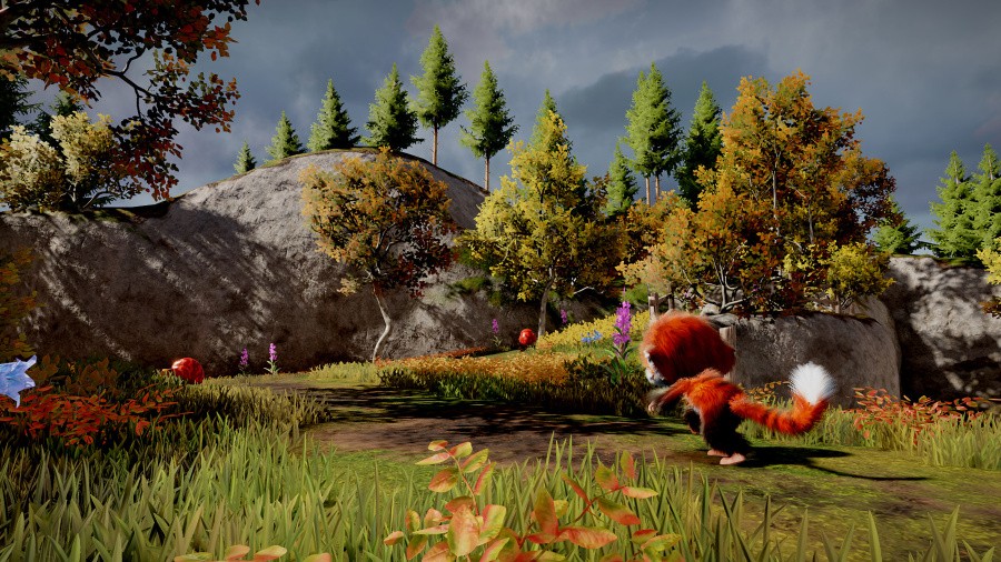 Tamarin Review - Screenshot 3 of 6