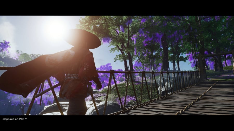 Ghost of Tsushima: Director's Cut Review - Screenshot 2 of 4