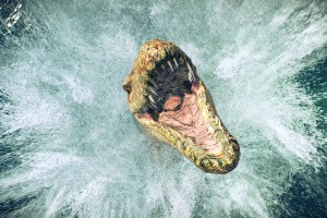 Jurassic World Evolution 2 Screenshot