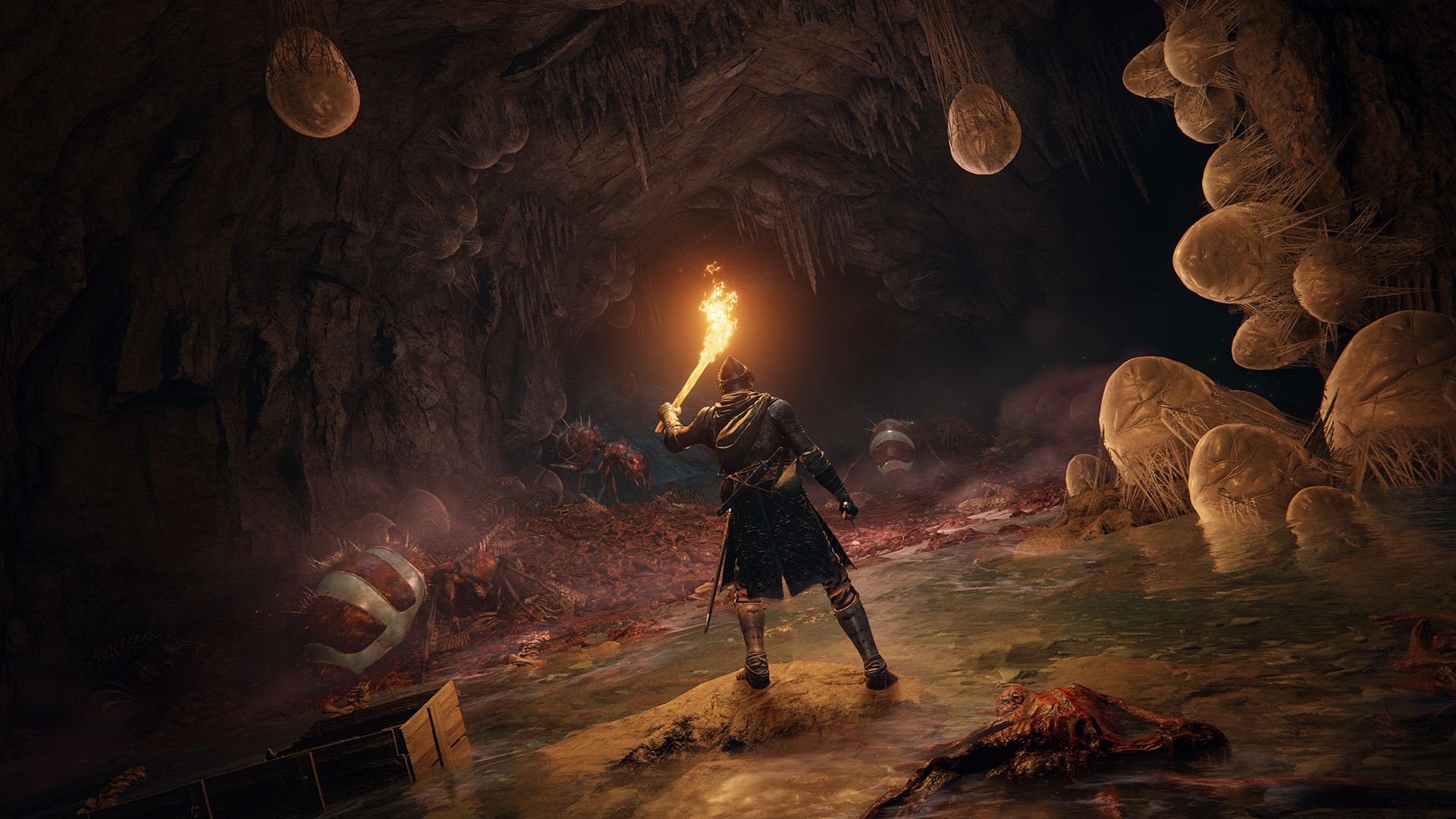 FromSoftware's Rumoured PS5 Exclusive Will Allegedly be More Similar to  Dark Souls Than Sekiro or Elden Ring