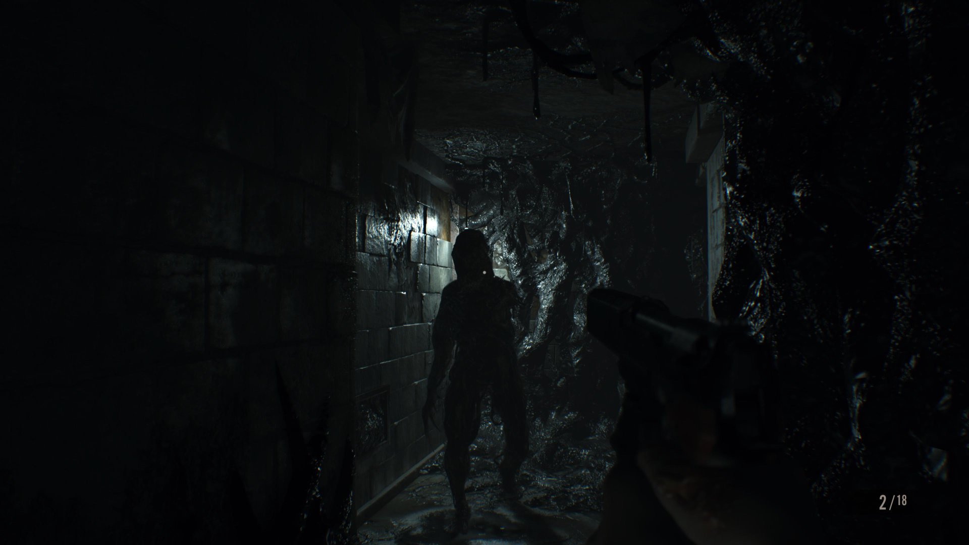 New Resident Evil 7 Gameplay Details And Screenshots Surface