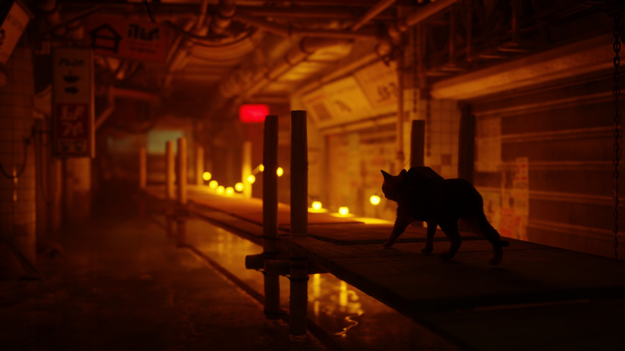 Stray Review - Screenshot 1 of 3